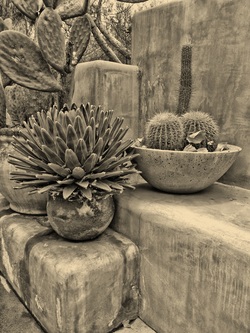 Picture